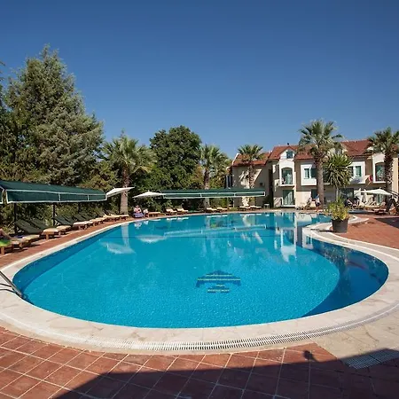 Rebin Fethiye
