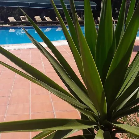 Hotell Rebin 3*