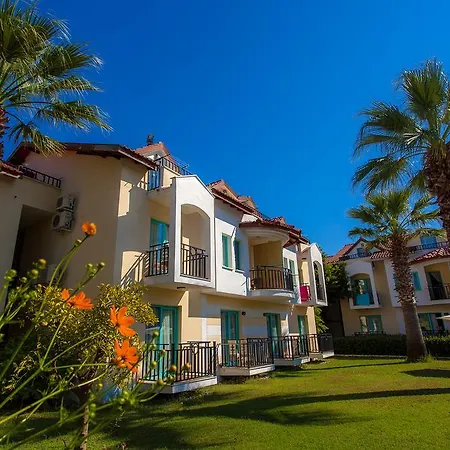 Rebin Fethiye