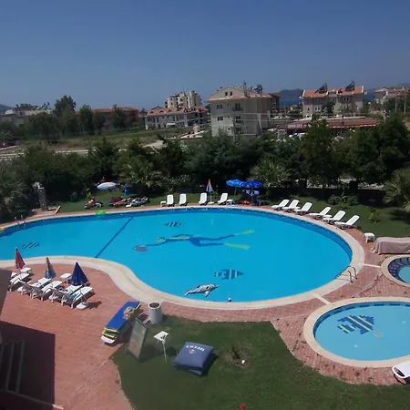 Rebin フェティエ